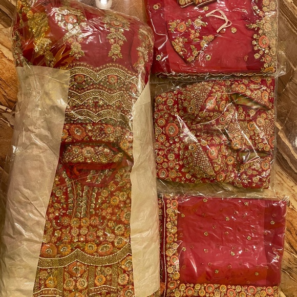 Brand New Frontier Raas Red Raw Silk Lehnga Indian Bridal wear (not used once) - Picture 1 of 12